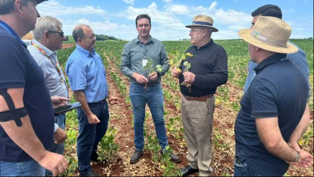 Emater verifica situação de lavouras atingidas pela estiagem em Santa Rosa